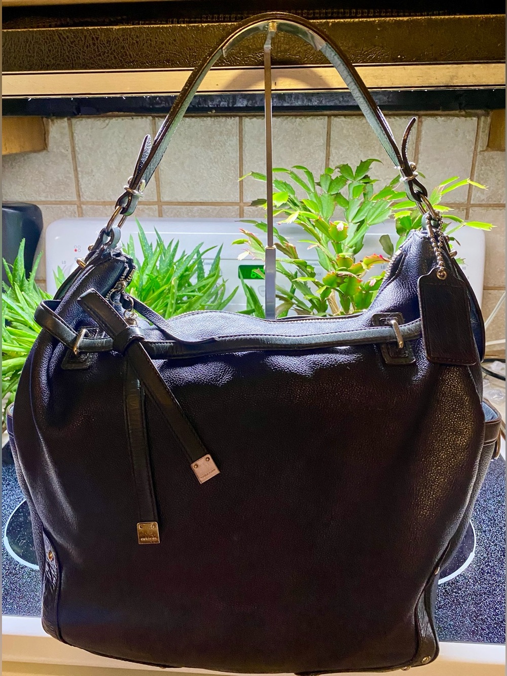 Coach Pinnacle Leather Allie Hobo Bag Dark Navy Dark Green Trim